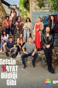Жизнь как она есть турецкий сериал